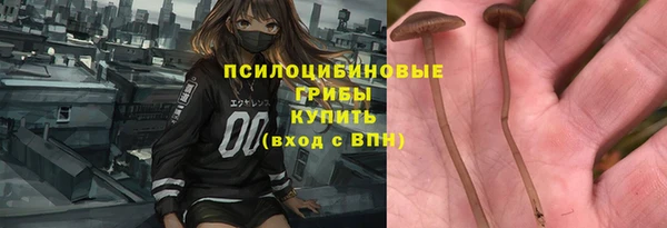 прущий лед Верея
