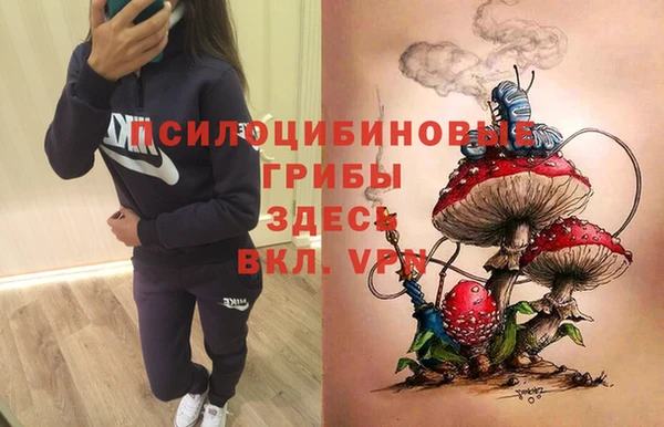 прущий лед Верея