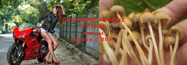 прущий лед Верея